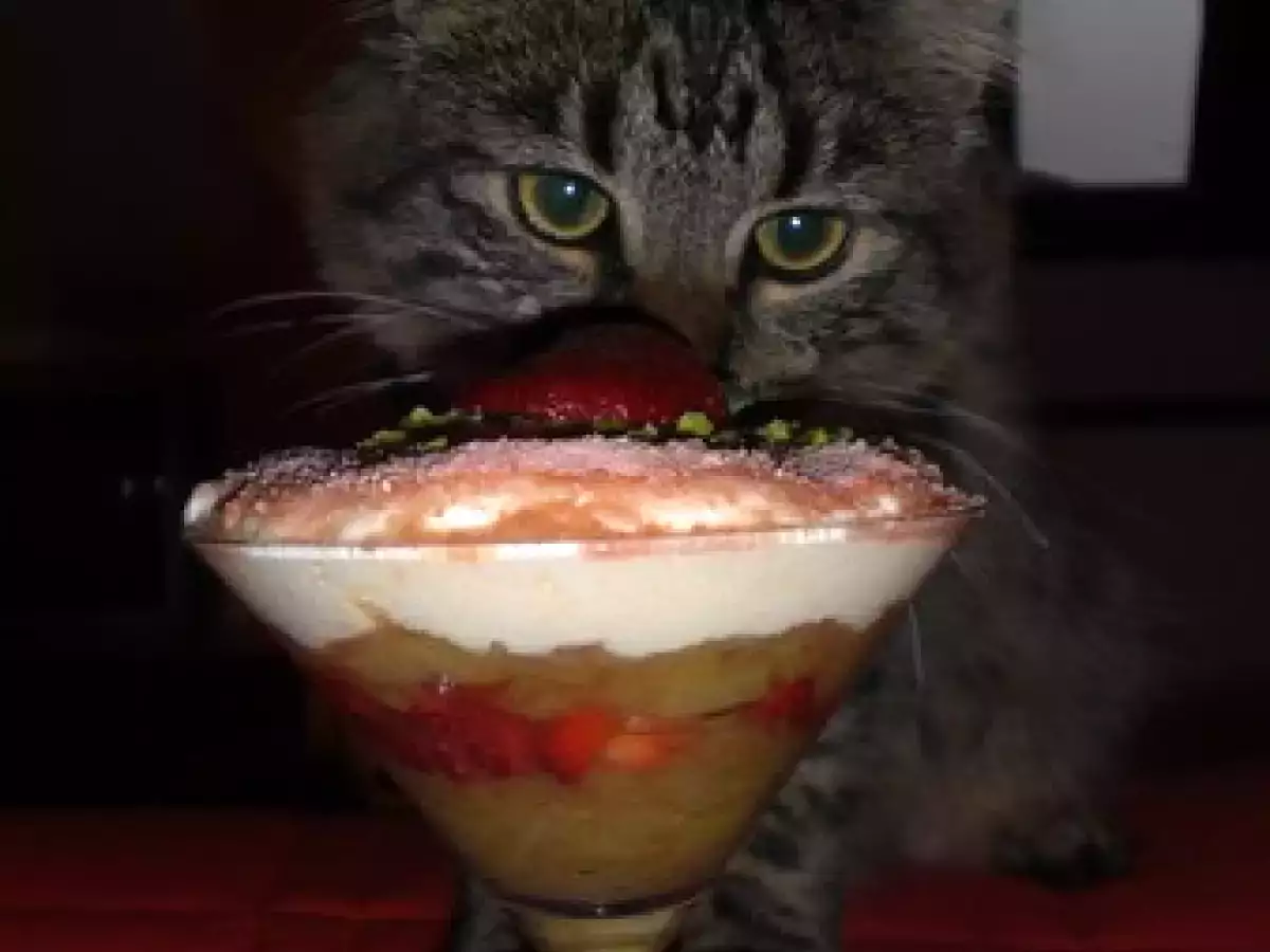 MOUSSE AU CITRON VERT, COMPOTE DE RHUBARBE ET FRAISES - photo 2