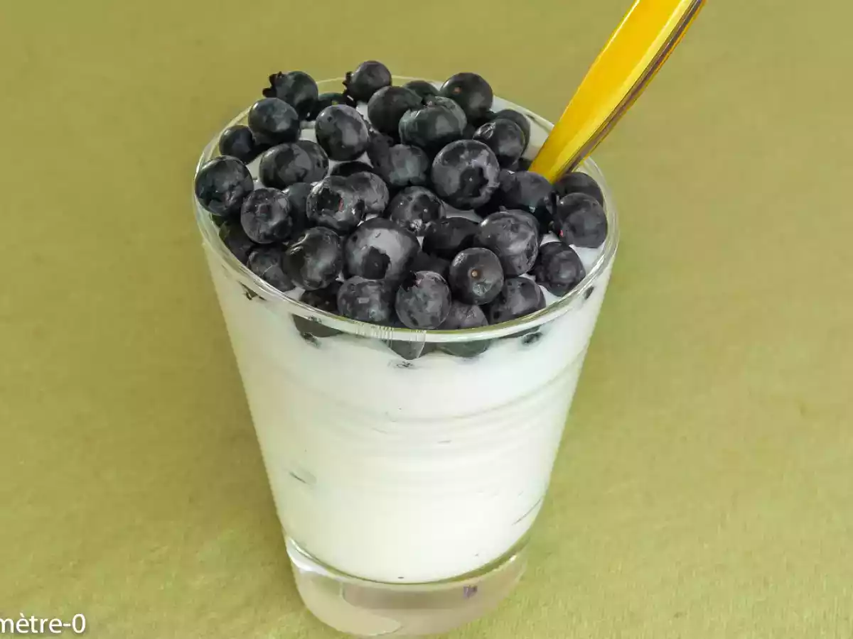 Mousse au fromage blanc et aux myrtilles