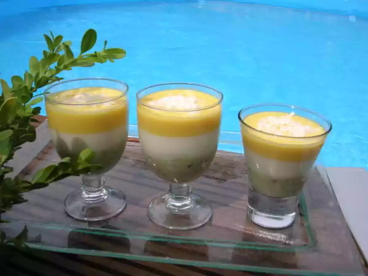 Mousse aux fruits des îles