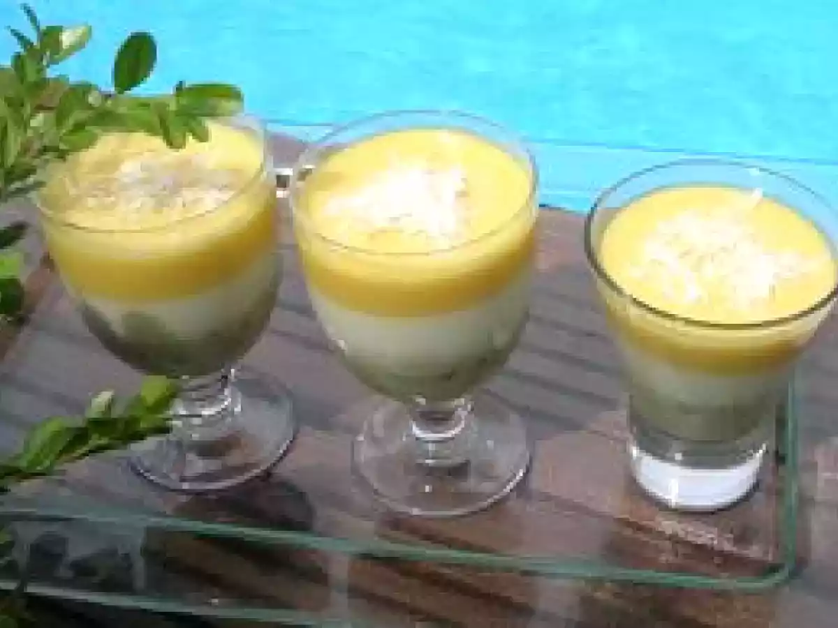 Mousse aux fruits des îles - photo 2