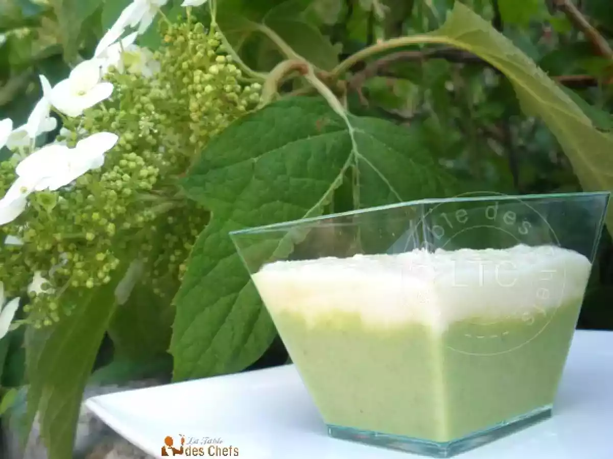 Mousse d'oignons nouveaux, crème d'asperges