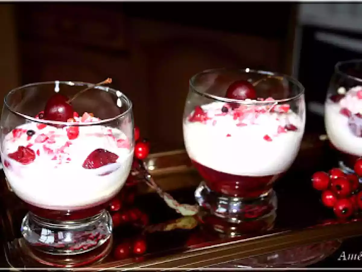 MOUSSE DE CHOCOLAT BLANC AUX GRIOTTES - photo 3