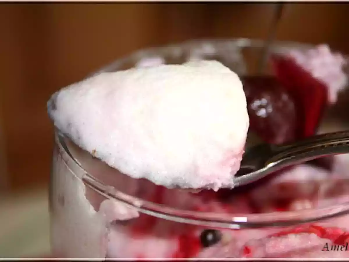 MOUSSE DE CHOCOLAT BLANC AUX GRIOTTES - photo 4