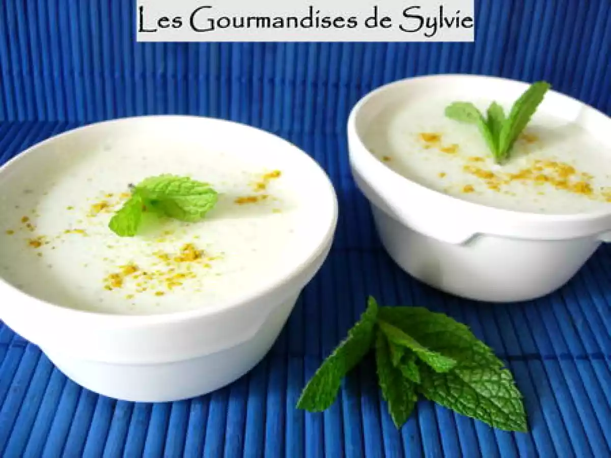 Mousse de Concombre au Fromage Blanc à la Menthe - photo 3
