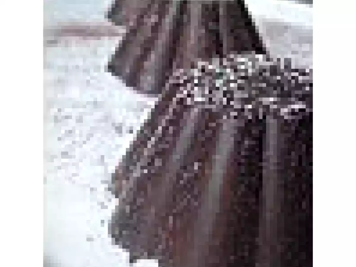 MOUSSE EN COQUE DE CHOCOLAT - photo 2