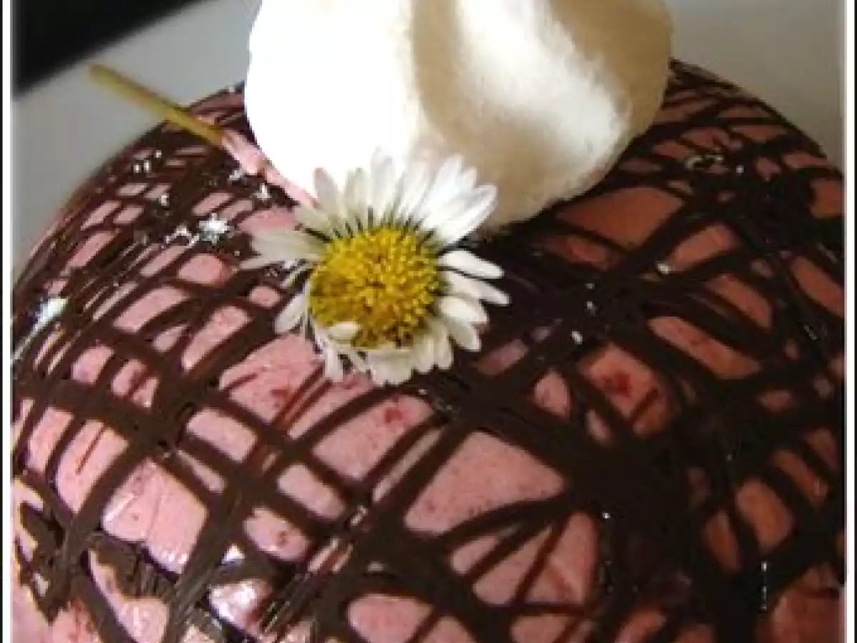 Mousse framboises en cage de chocolat