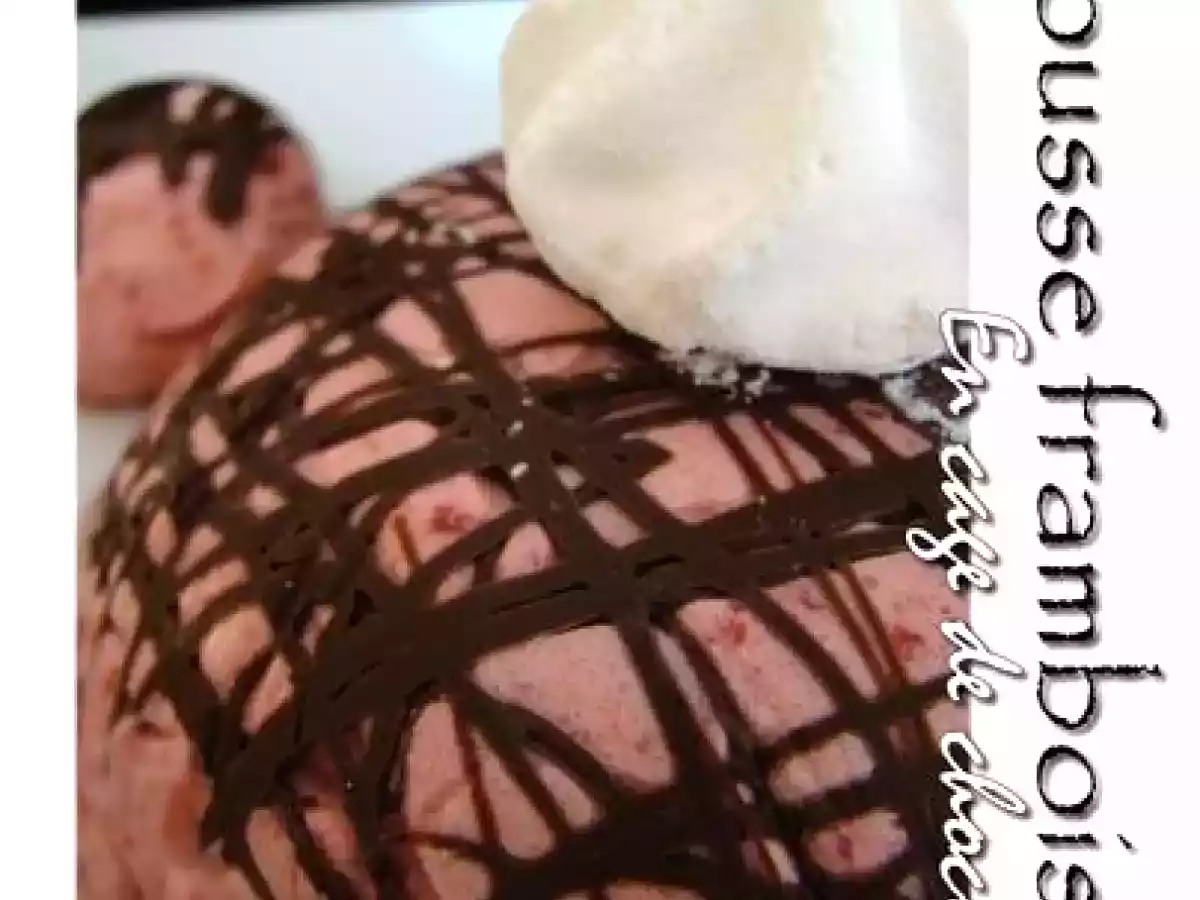 Mousse framboises en cage de chocolat - photo 2
