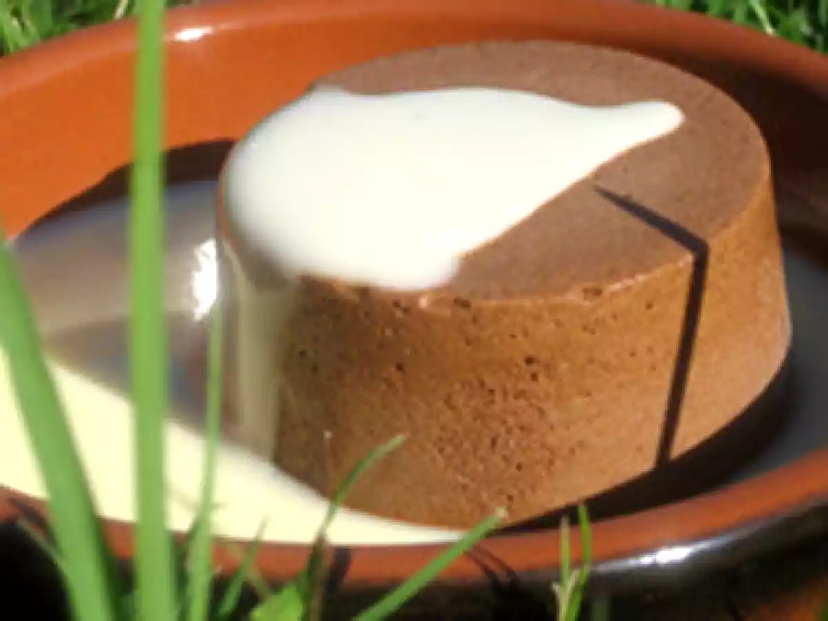 Mousse givrée au chocolat