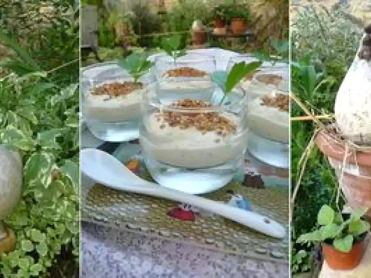 Mousseline d'aubergine au citron et au piment d'espelette - photo 2