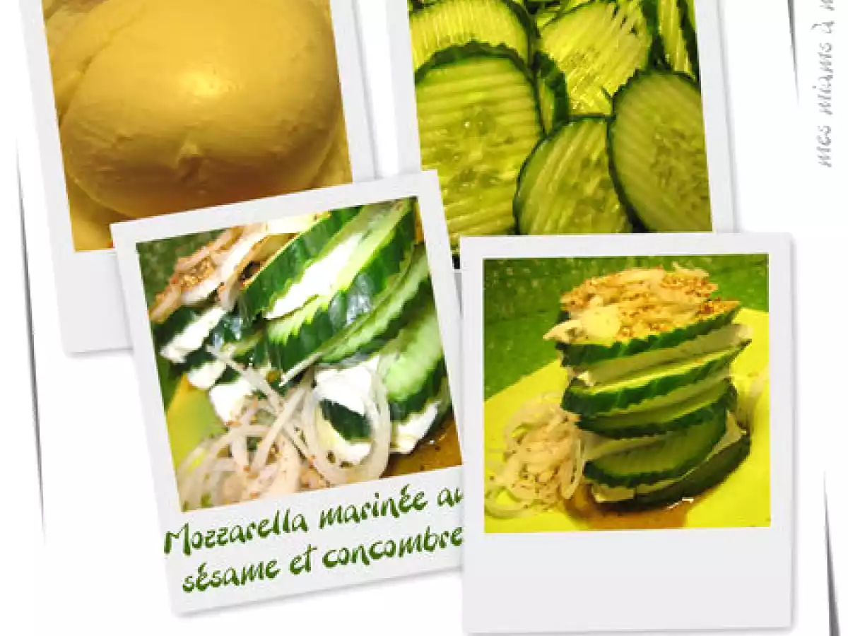 Mozzarella marinée au sésame et concombre