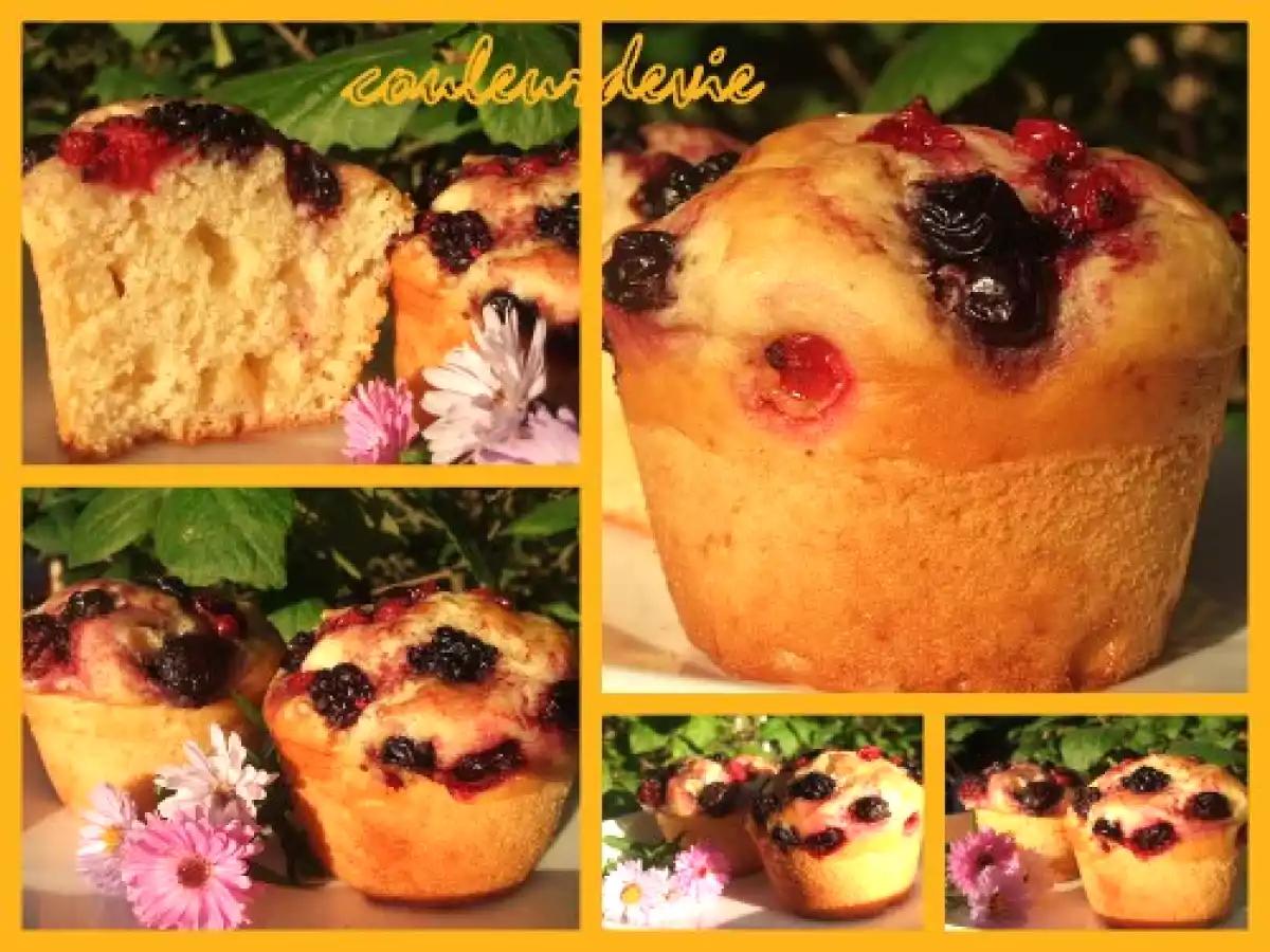 Muffins à la ricotta, fruits rouges et chocolat blanc