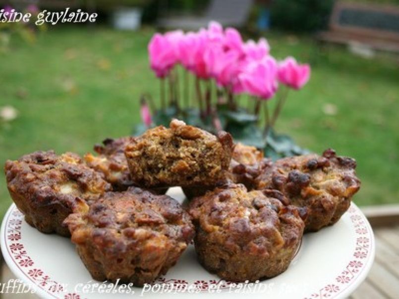 Muffins bio aux céréales, pommes et raisins secs vraiment délicieux ! - photo 3