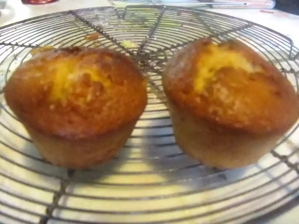 Muffins noisettes