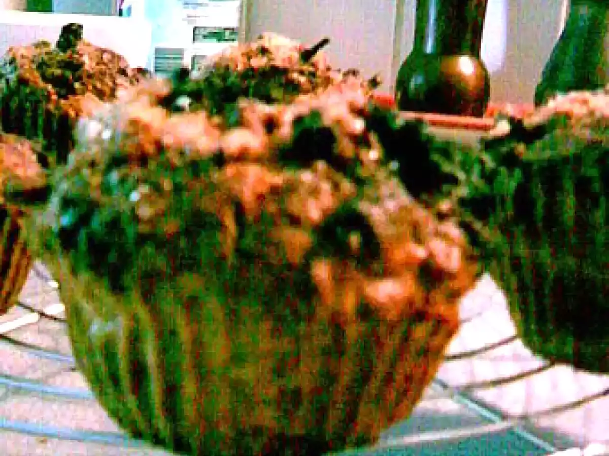 Muffins pommes, son et raisins secs