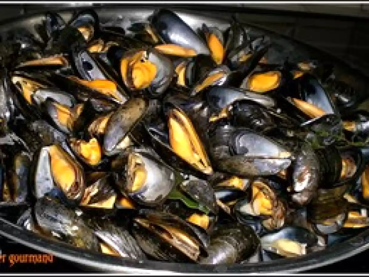 Nage de moules de bouchot à la bisque de homard et safran - photo 2