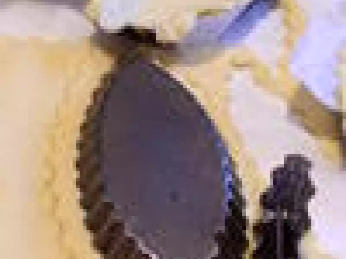 Navettes piquantes au thon - photo 2