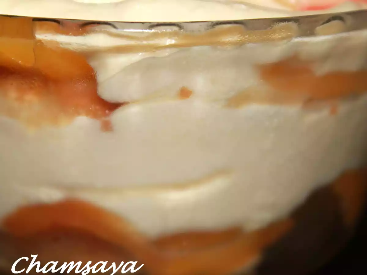 Nectarines façon tiramisu au coulis de pêches - photo 2