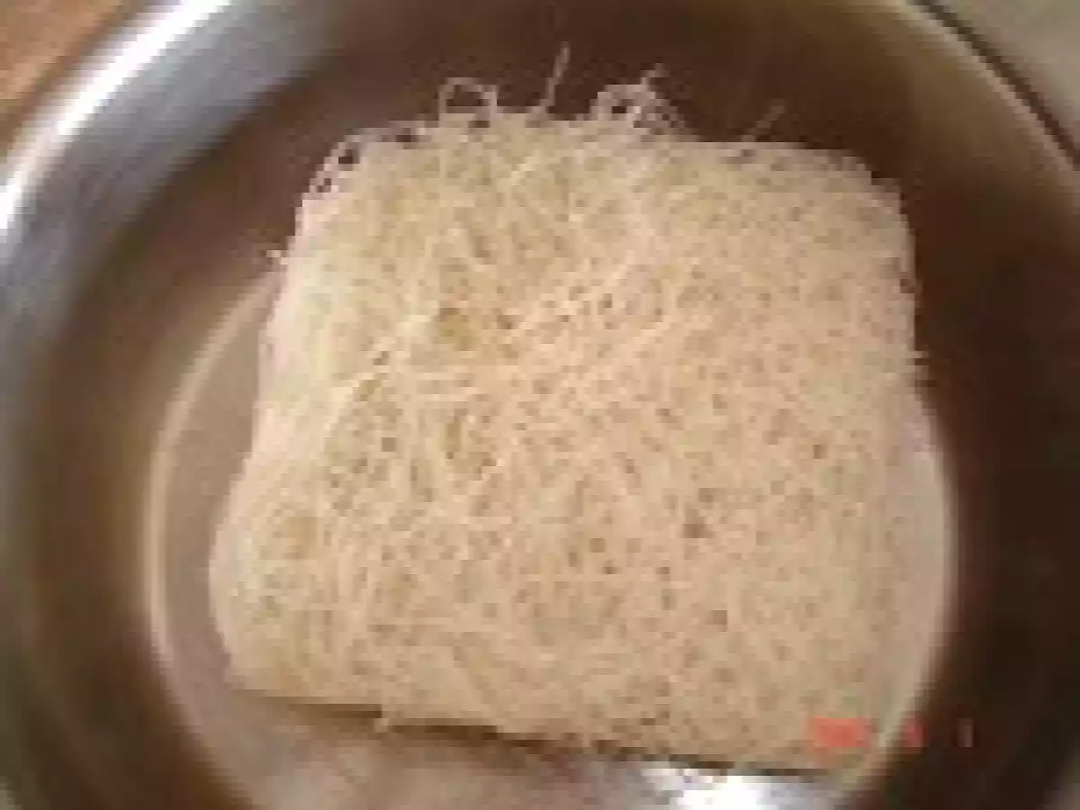 Nems asiatiques aux légumes et viandes + sauce piquante aigre douce - photo 5