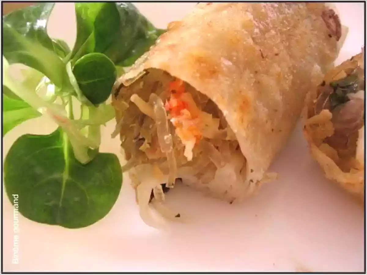 Nems aux crevettes - photo 3