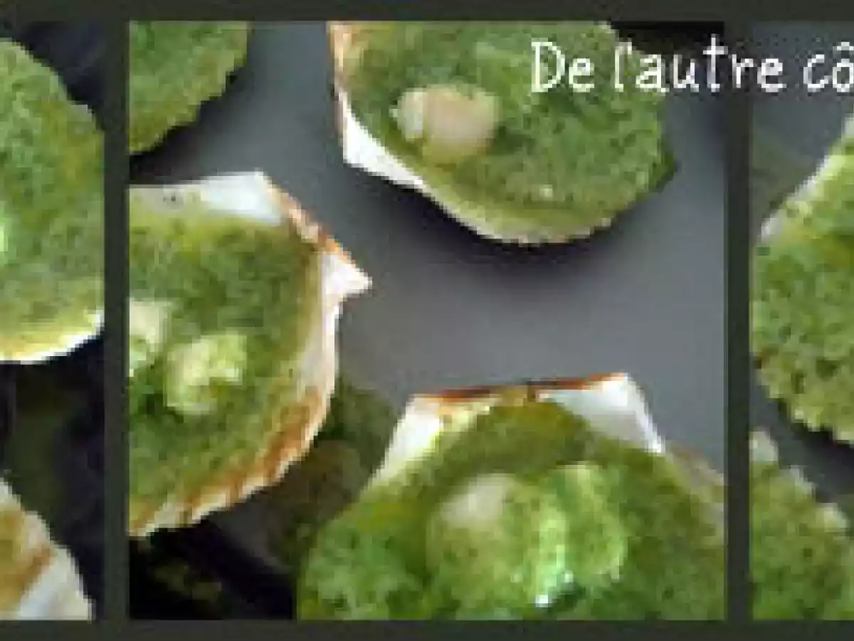 NOIX DE PÉTONCLES FAÇON ESCARGOT