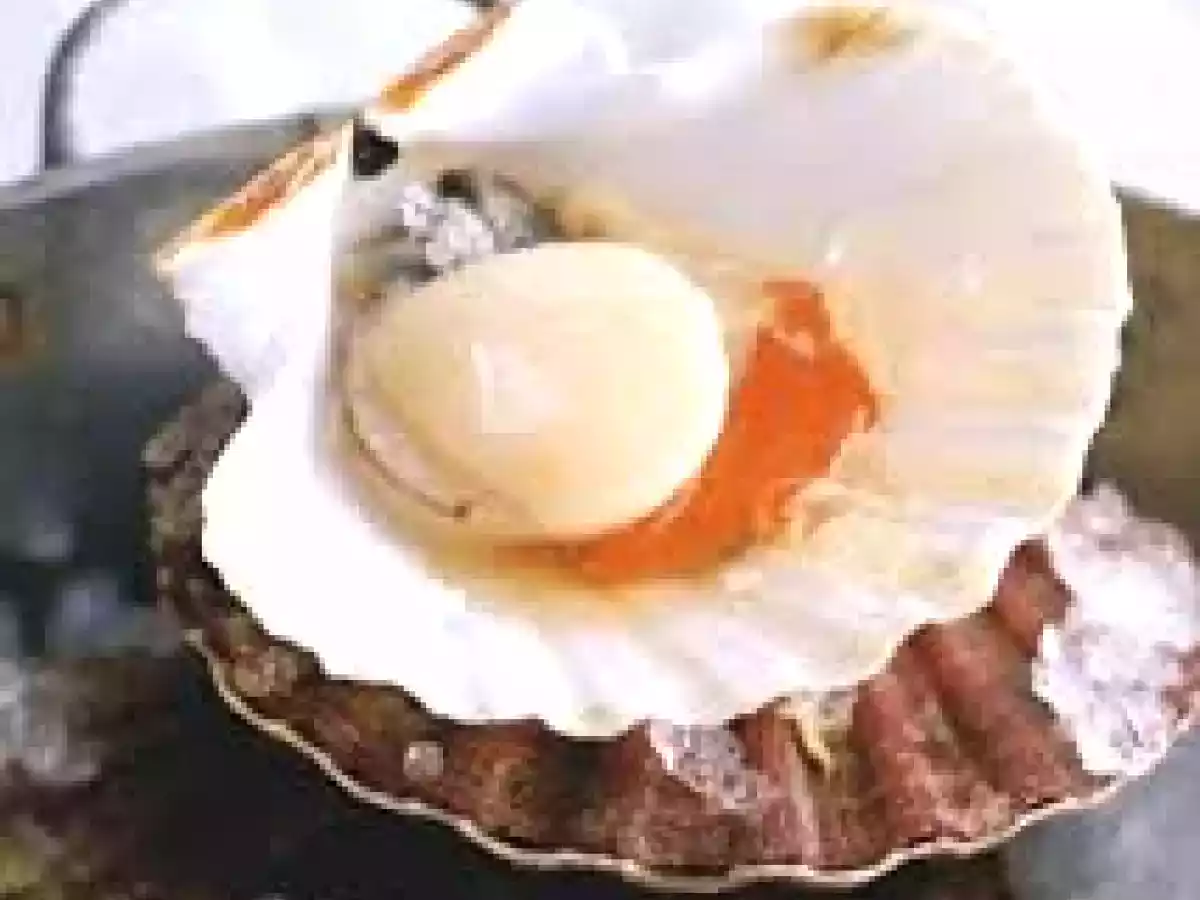 Noix de saint Jacques au curry et aux champignons