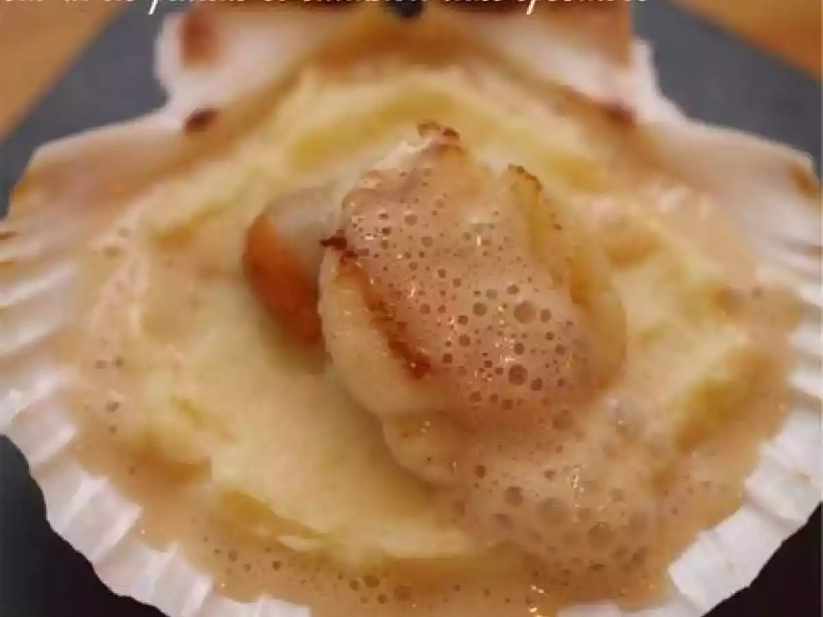 Noix de Saint-Jacques sur lit de panais et émulsion aux spéculoos