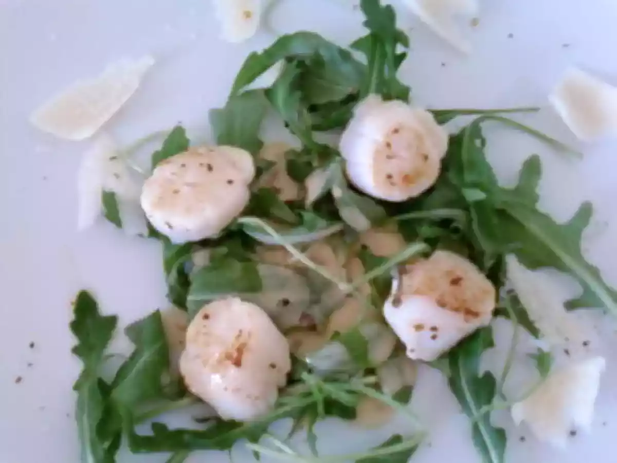 Noix de Saint-Jacques sur lit de roquette et copeaux de parmesan