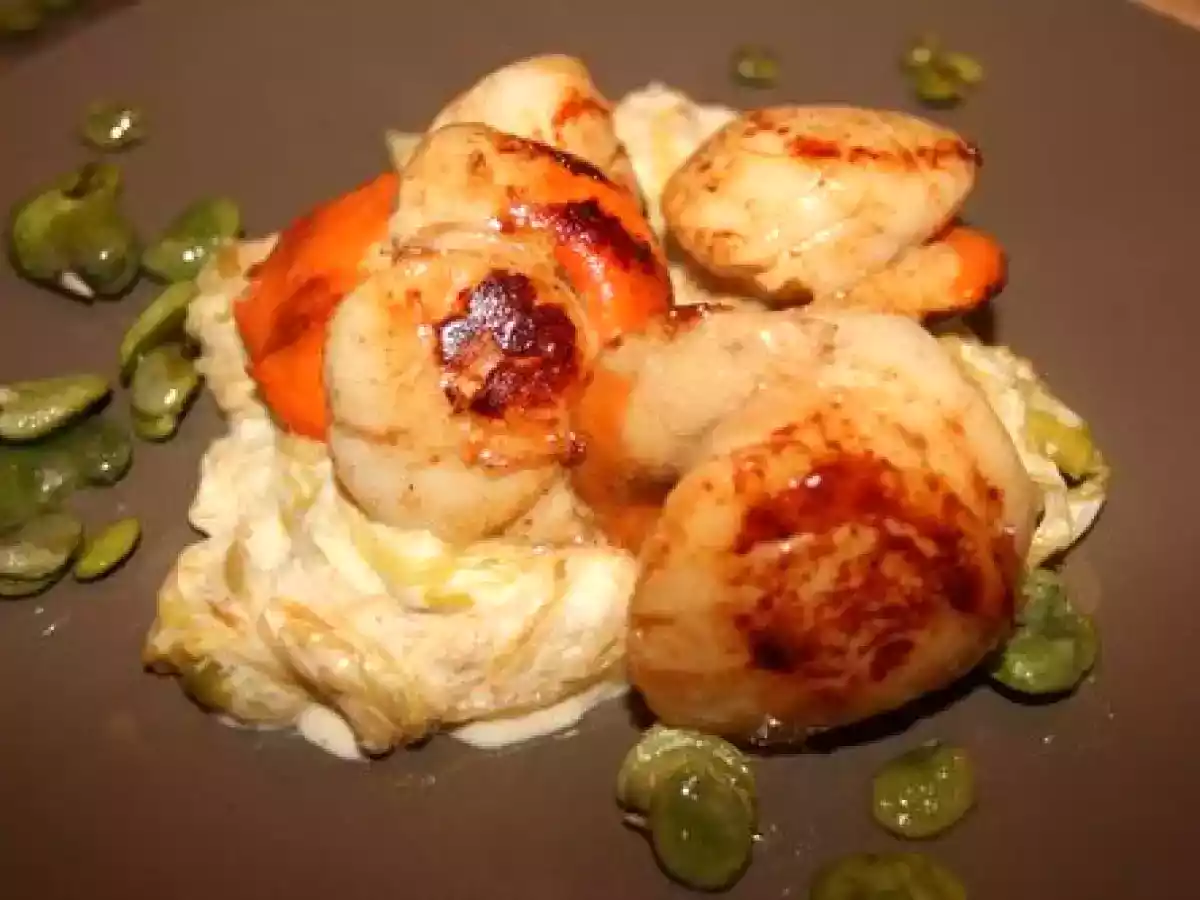 Noix Saint Jacques poêlées sur lit de crème de poireaux et fèves