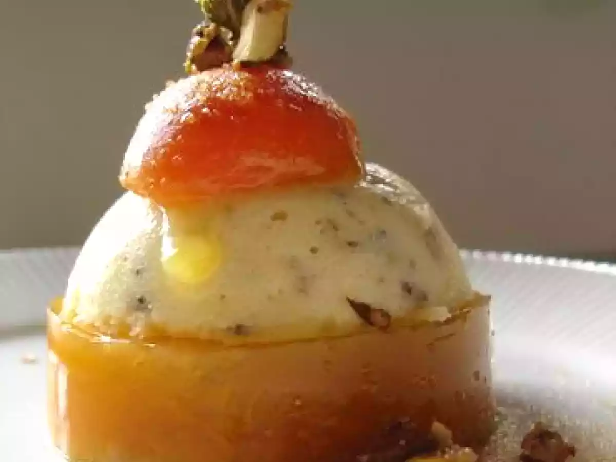 °nougat & abricot°