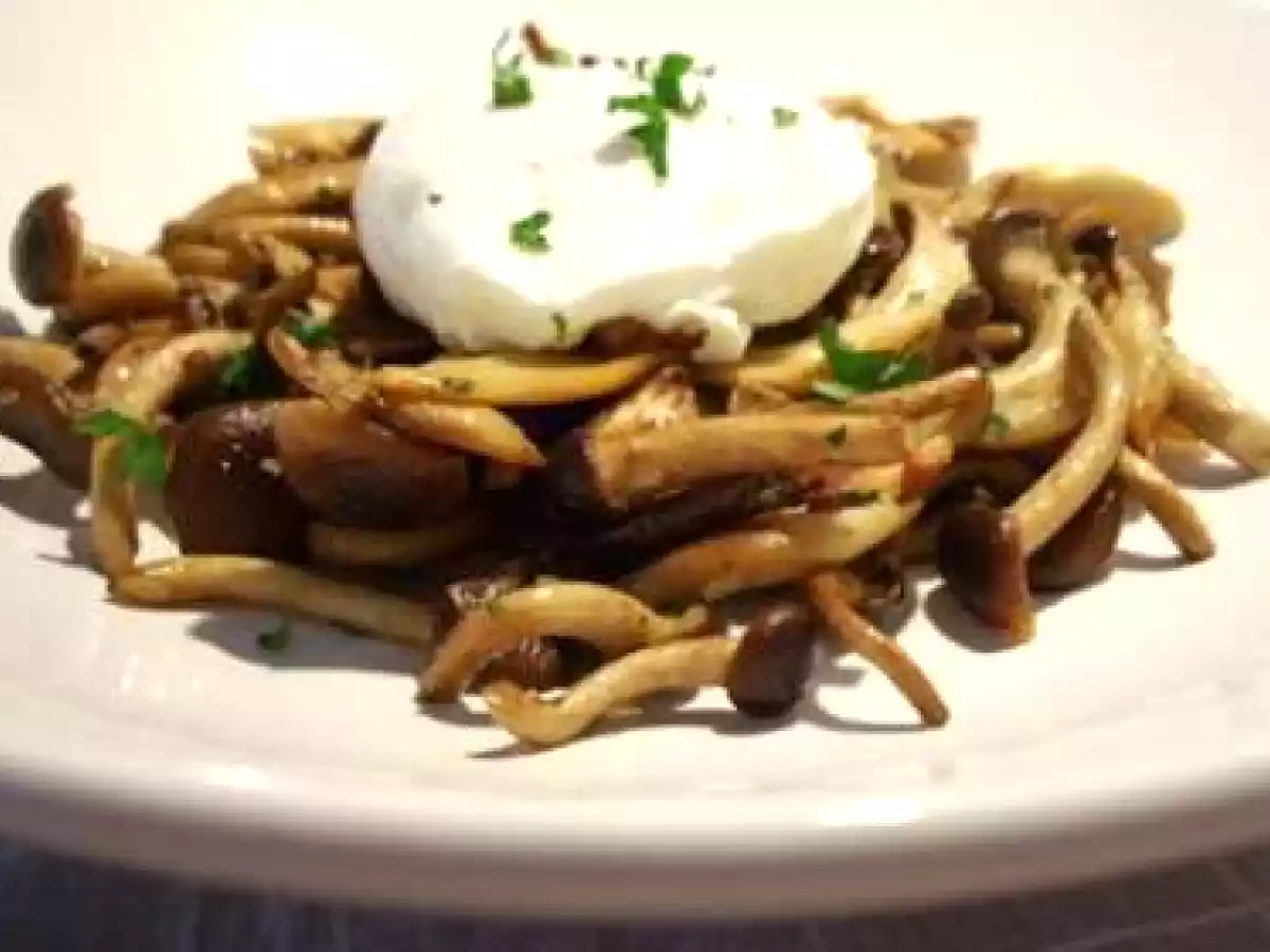 Oeuf poché sur fricassée de pleurotes et pholiotes...