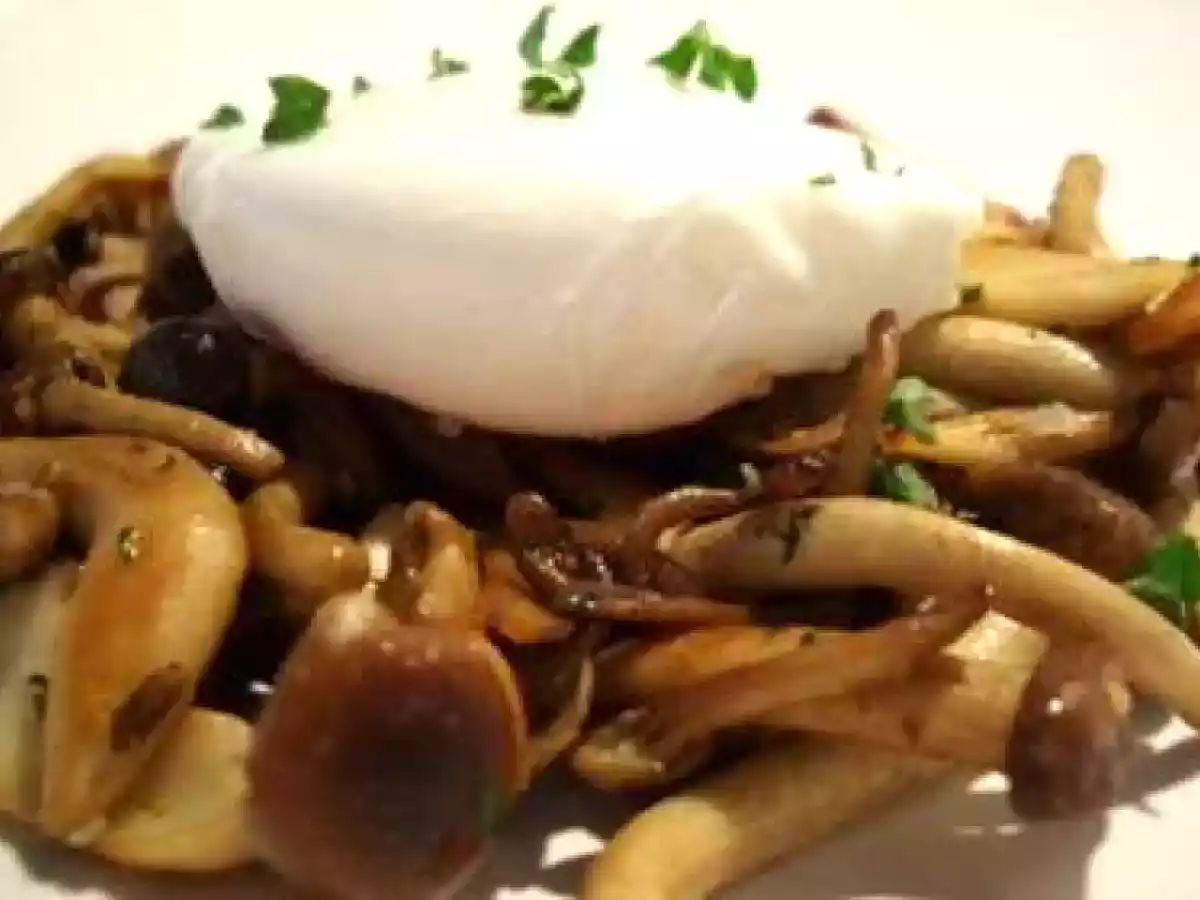 Oeuf poché sur fricassée de pleurotes et pholiotes... - photo 2