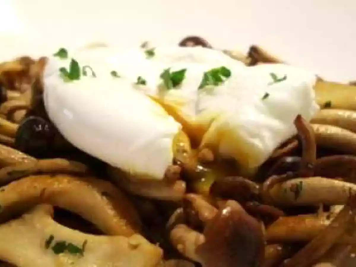 Oeuf poché sur fricassée de pleurotes et pholiotes... - photo 3