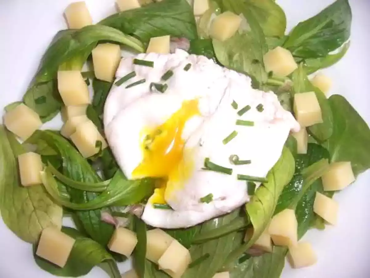 Oeuf poché sur lit de mâche