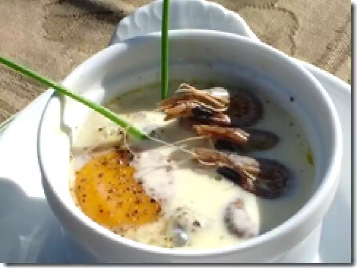 Oeufs Cocotte aux Crevettes Grises