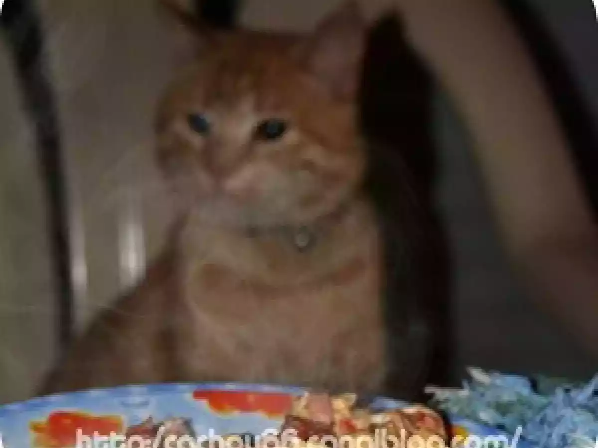 Omelette fond de frigo ou l' art d' utiliser des restes! - photo 3