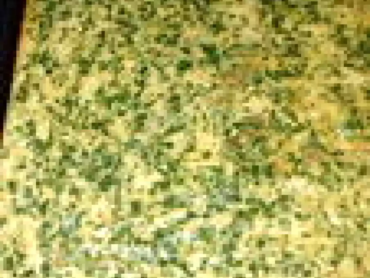 Omelette roulée au jambon, simple, mais joli! - photo 5