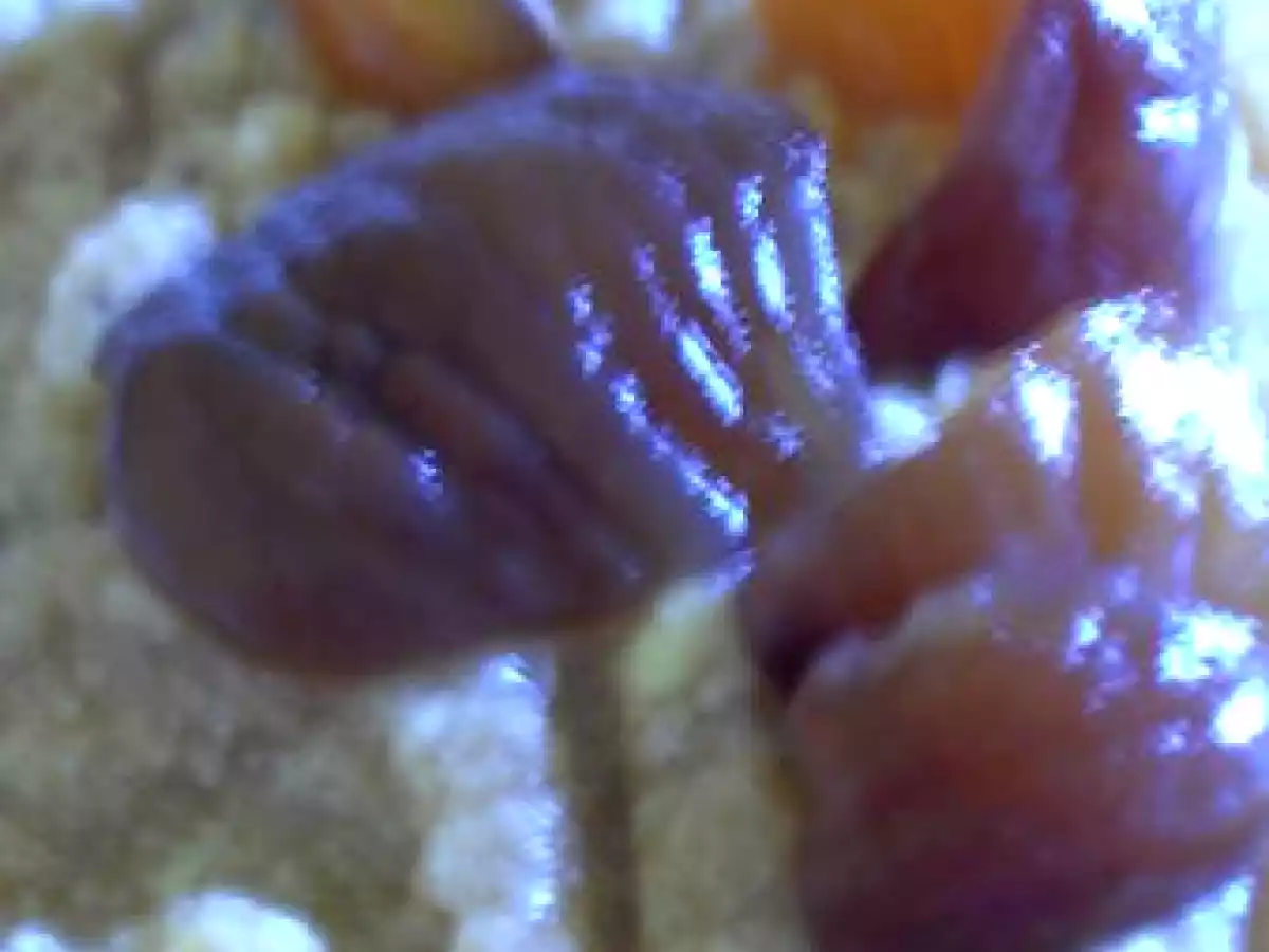 Opération bûche de Noël: crème de marrons - photo 3