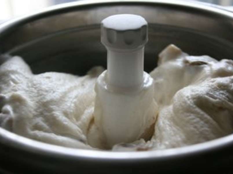Optimisons la sorbetière (1): Crème glacée presque light à la figue sèche et au miel - photo 2