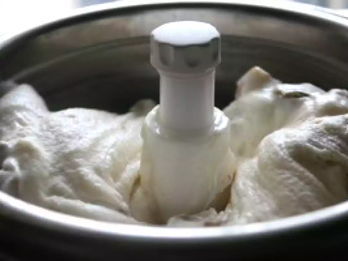 Optimisons la sorbetière (1): Crème glacée presque light à la figue sèche et au miel - photo 2