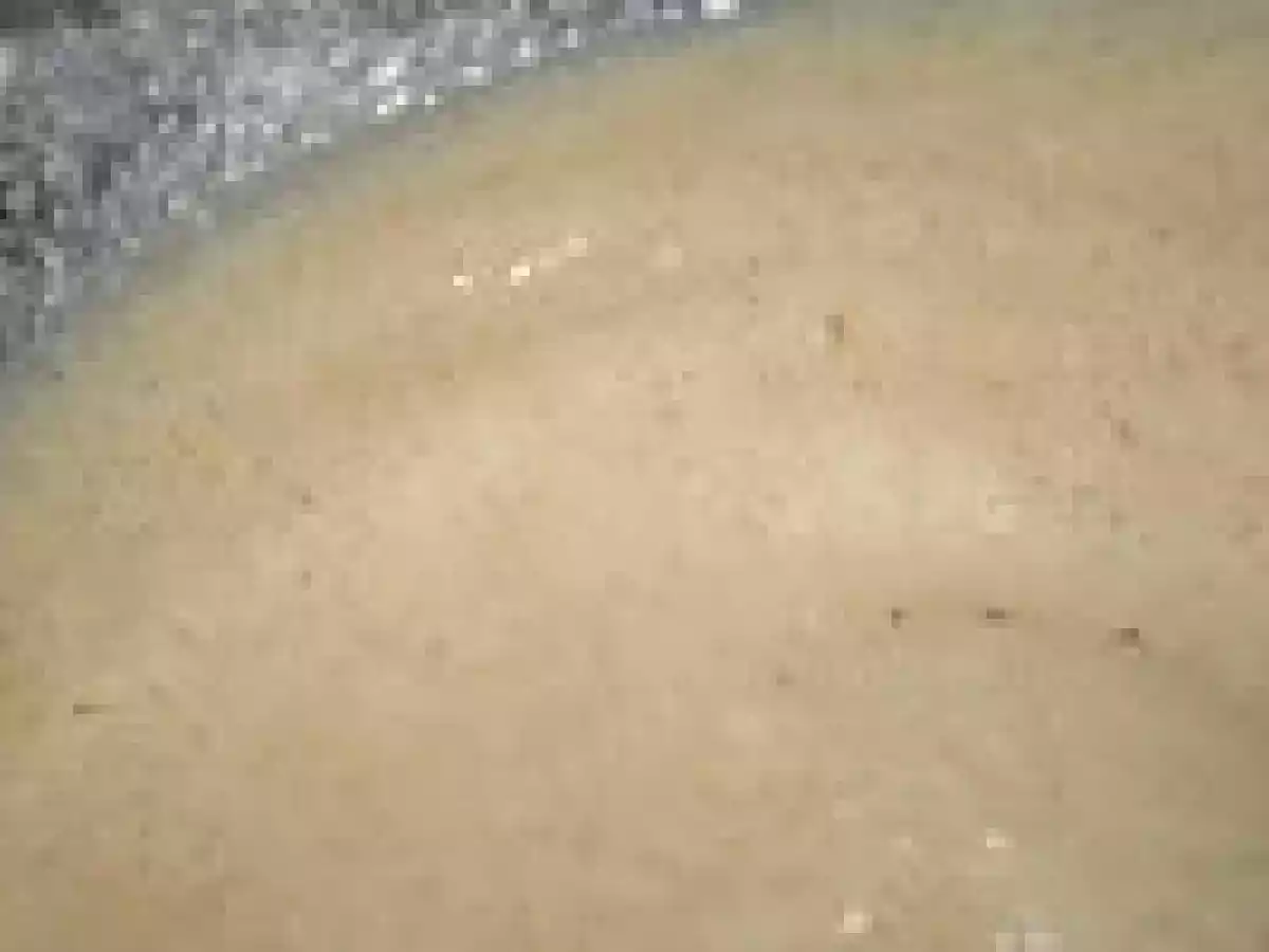 P'tit gâteau nuage chantilly/poire et gousse de vanille - photo 5