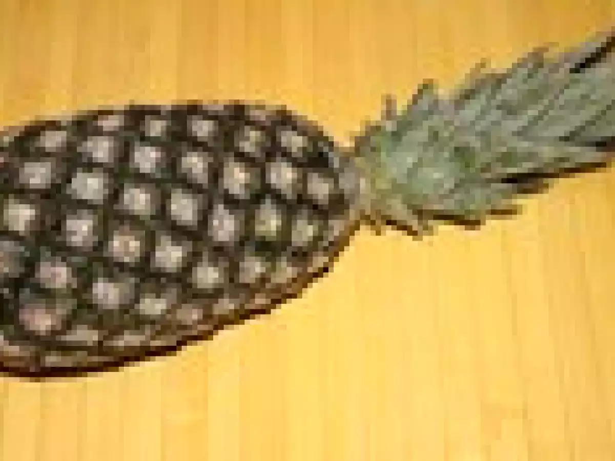 P'tite salade ananas pain de sucre à la Coco Chantrelle - photo 3