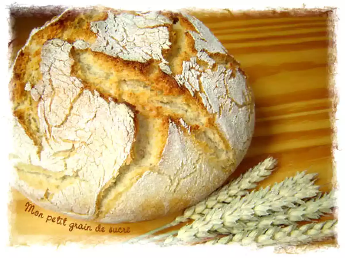 Pain à la farine complète de petit épeautre