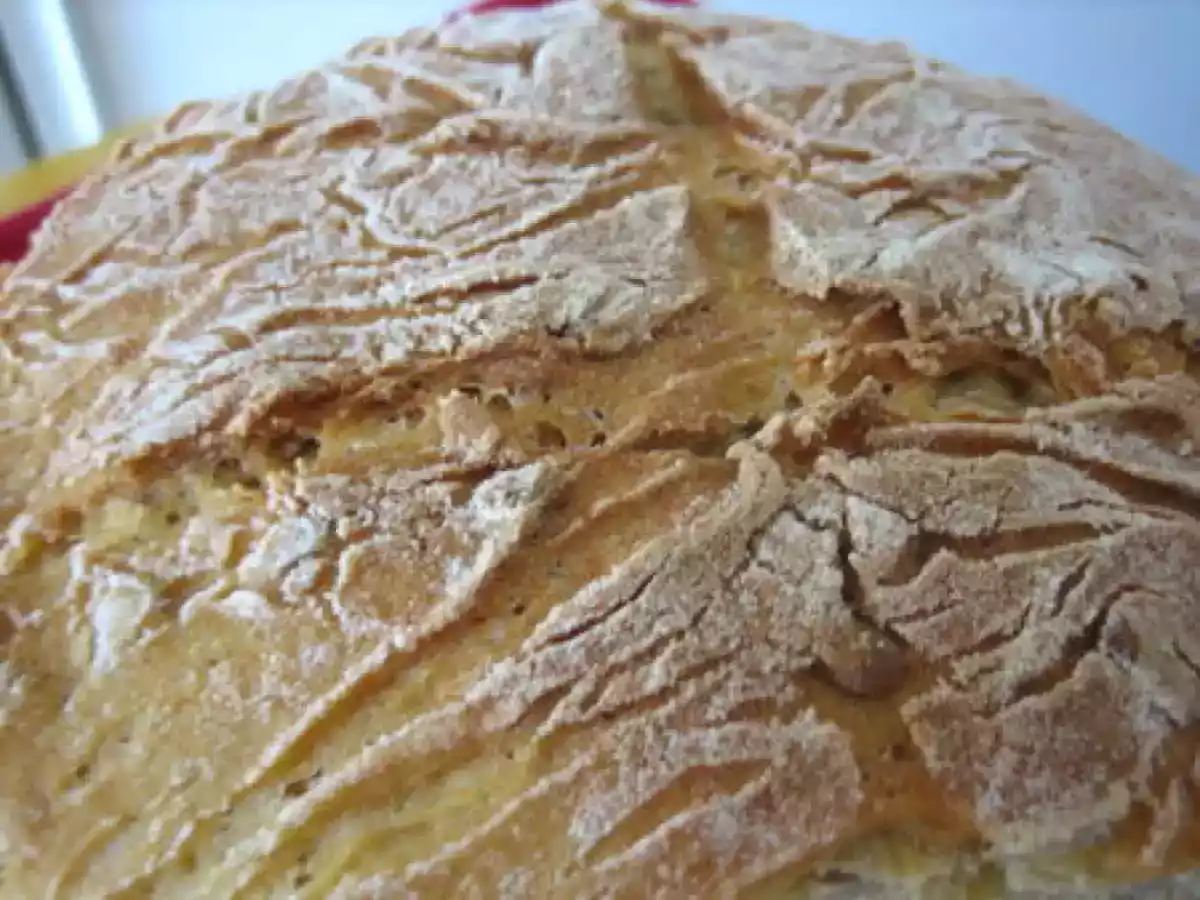 PAIN A LA FARINE DE MAÏS ET AUX GRAINES DE TOURNESOL - photo 2