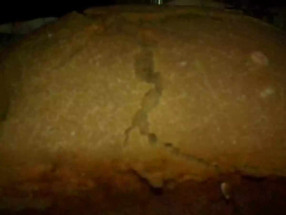 Pain à la semoule et aux graines de tournesol