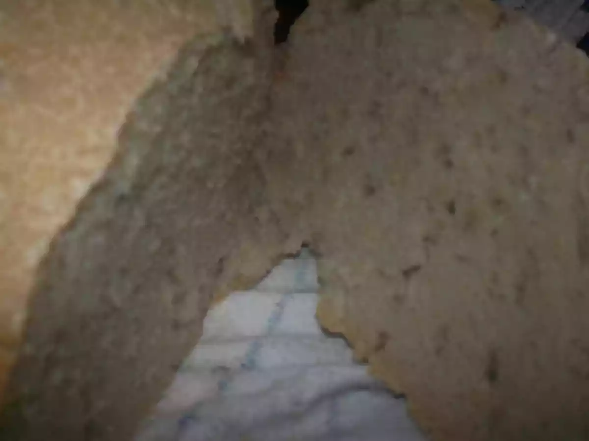 Pain à la semoule et aux graines de tournesol - photo 2