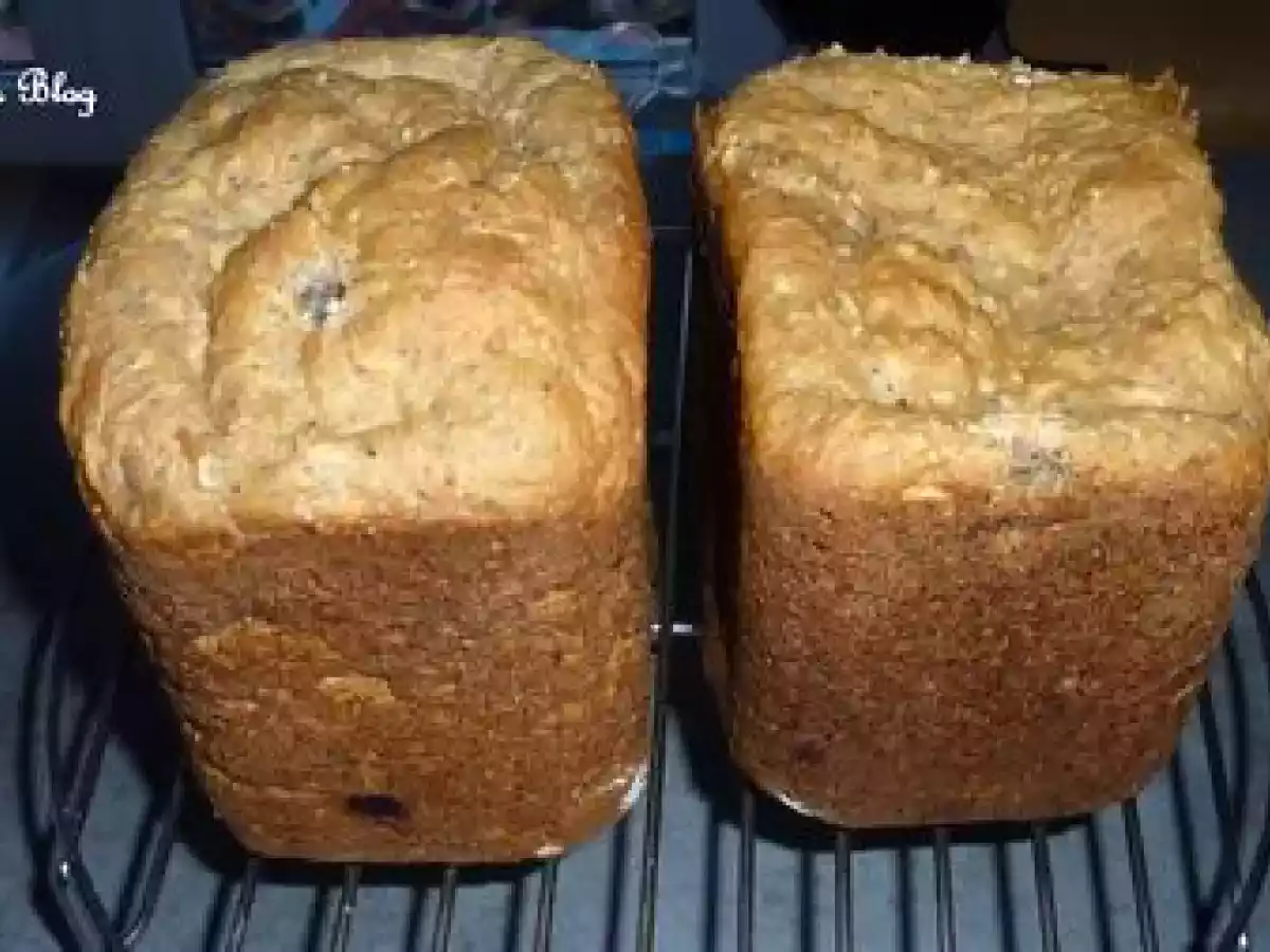 PAIN AUX POMMES NOIX DE COCO ET RAISINS