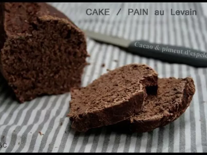 **Pain / cake au levain au chocolat noir & piment d'espelette ** - photo 5