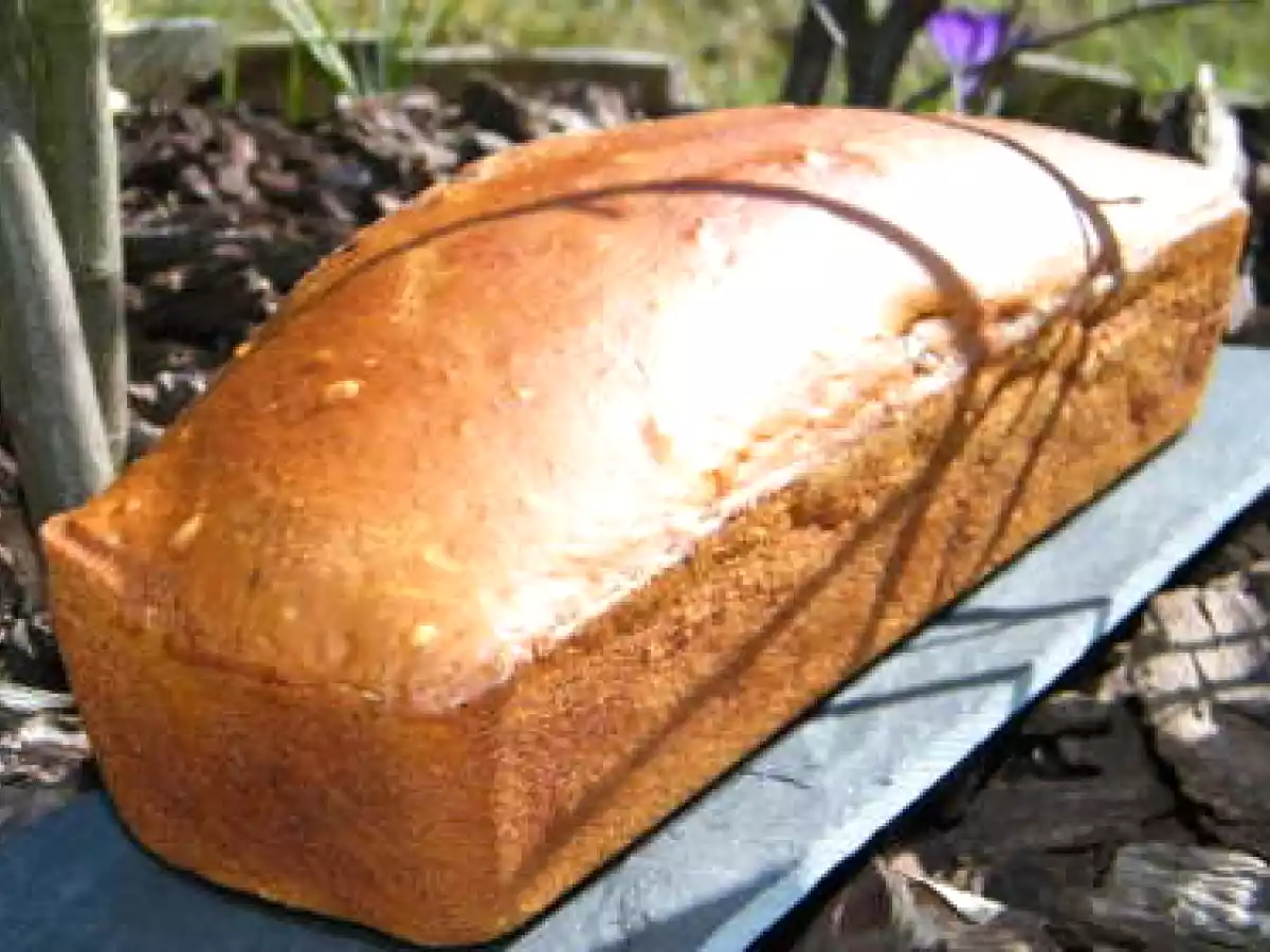 Pain d'épices aux pépites de chocolat