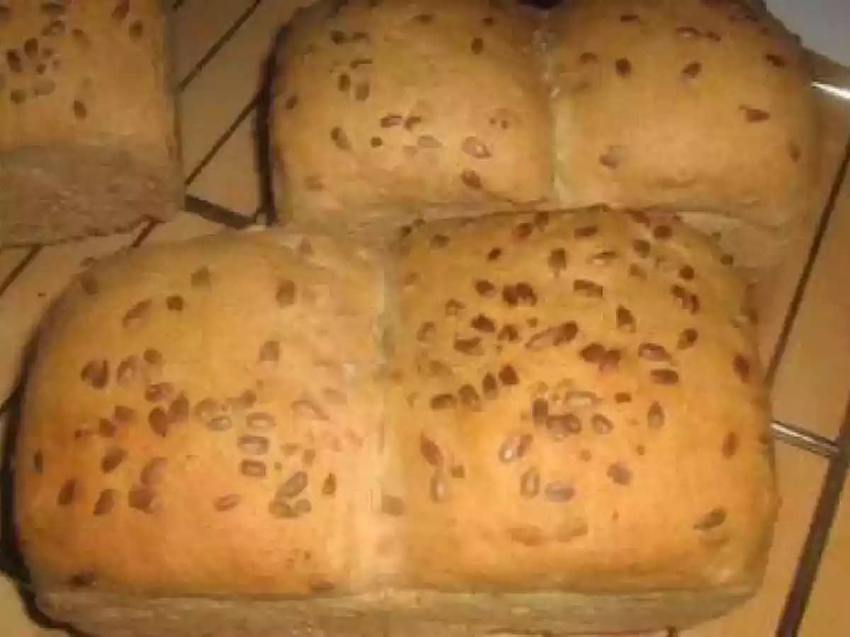 Pain de blé entier et à l'huile d'olive