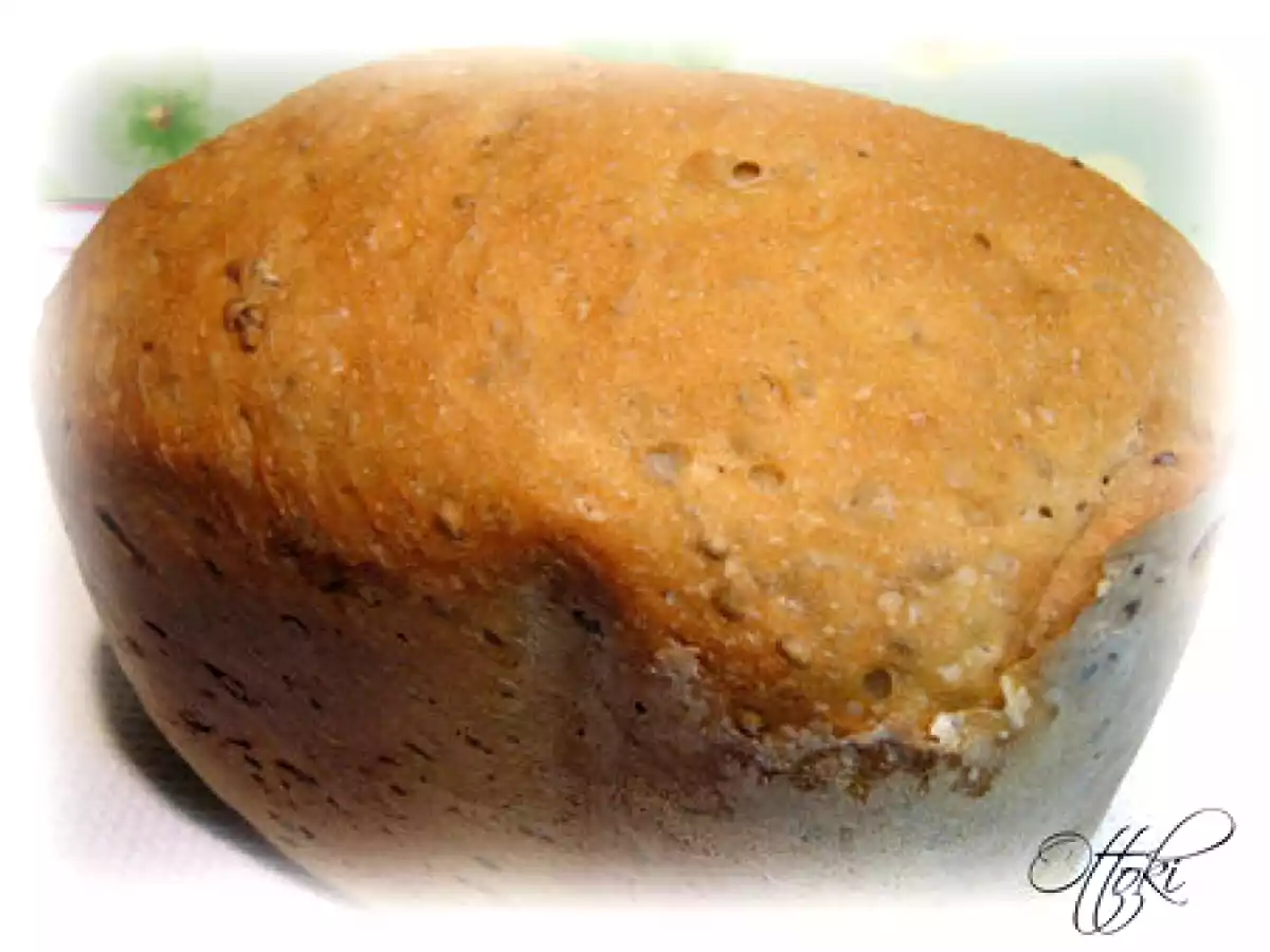 Pain de petit épeautre (2 h tout pana)